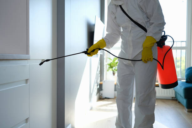 Mold Removal and Inspection in Farragut, TN